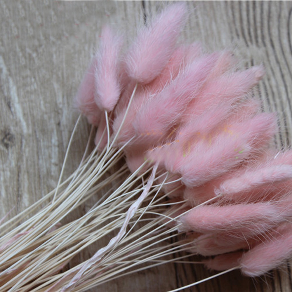 Dried Flower Bunch - 50pcs dried natural flower bouquets pink