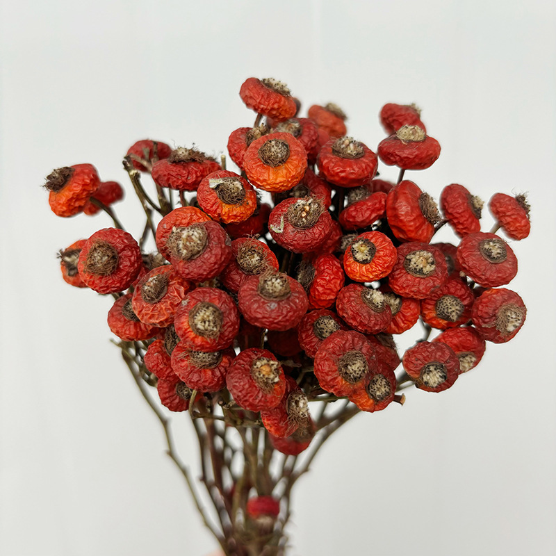 Dried Flower Bunch - 10pcs/Bunch Dried Rose Hip Berries Flowers