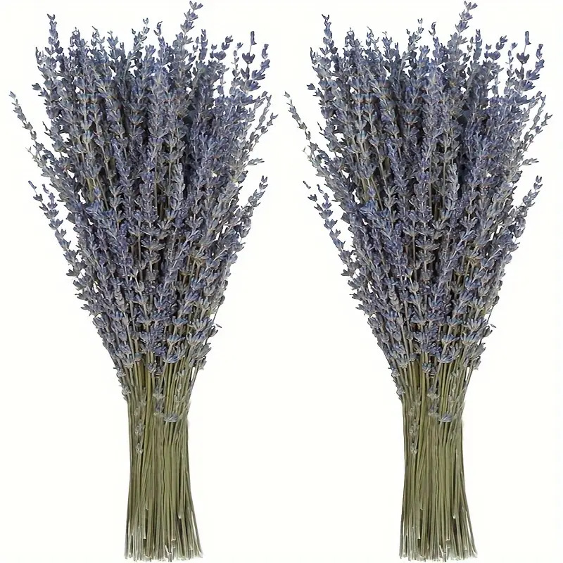 Dried Flower Bunch - 200pcs/Bunch Lavender Dried Flowers for Home