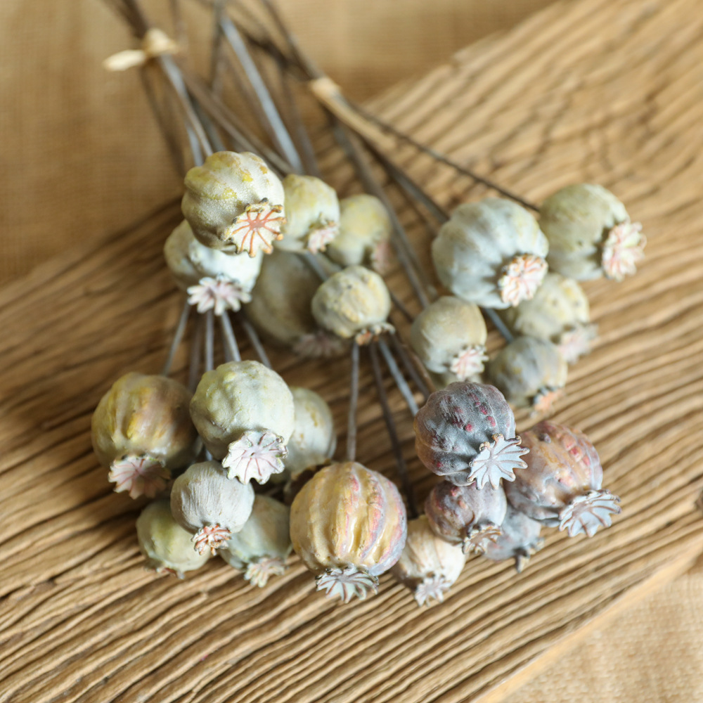 Dried Flower Bunch - 6Heads Poppies Fruit Dried Flower Bunch