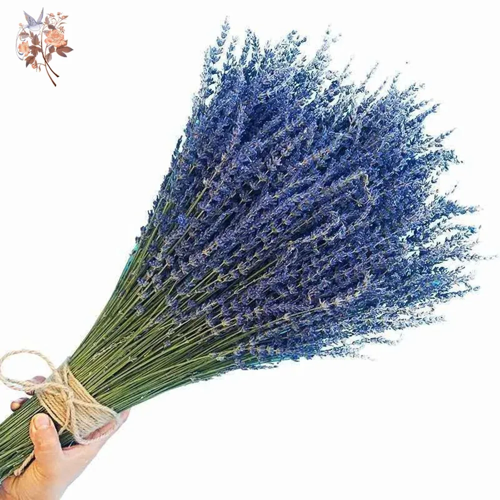 Dried Flower Bunch - 50g Natural Dried Lavender Bouquet Wedding