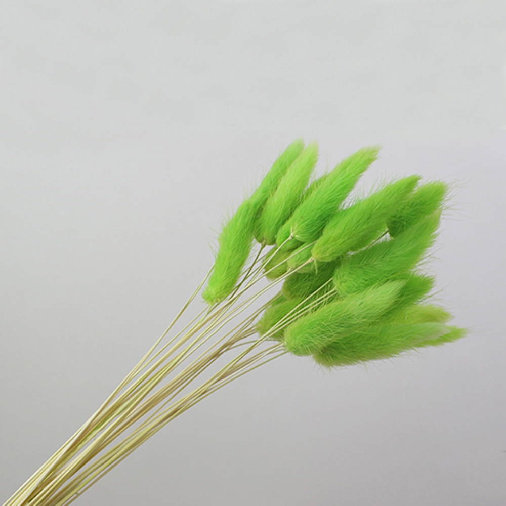 50pcs dried natural flower bou - Dried Flower Bunch 评论和价格