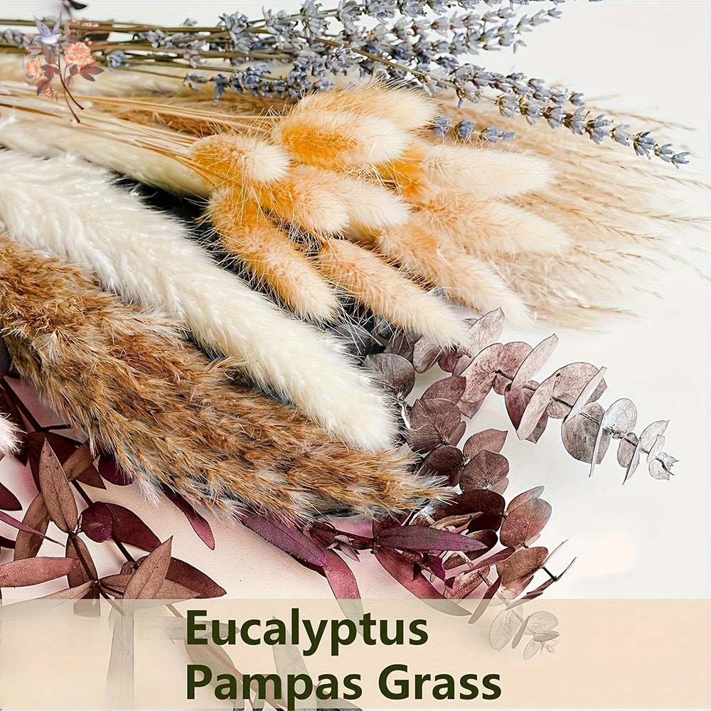 75PCS Dried Pampas Eucalyptus  - Dried Flower Bunch 评论和价格