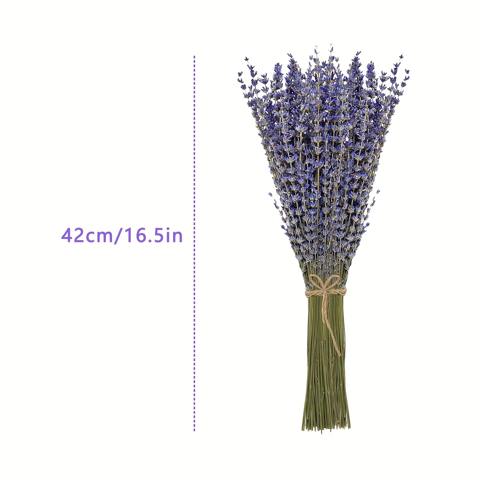 200pcs/Bunch Lavender Dried Fl - Dried Flower Bunch 评论和价格