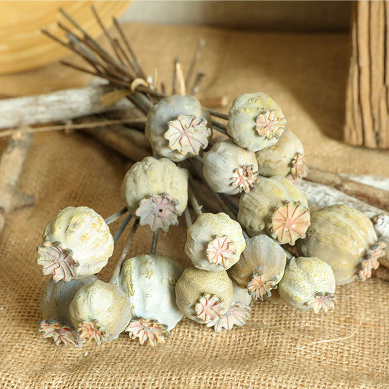 6Heads Poppies Fruit Dried Flo - Dried Flower Bunch 评论和价格
