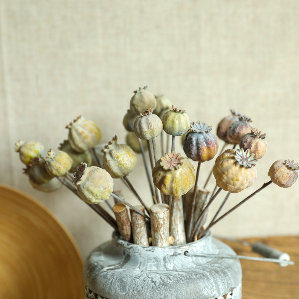 6Heads Poppies Fruit Dried Flo - Dried Flower Bunch 评论和价格