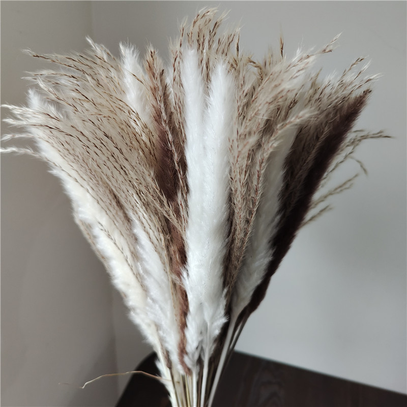 15/30pcs Mixed Dried Flower Bo - Dried Flower Bunch 评论和价格