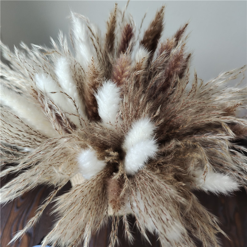 15/30pcs Mixed Dried Flower Bo - Dried Flower Bunch 评论和价格