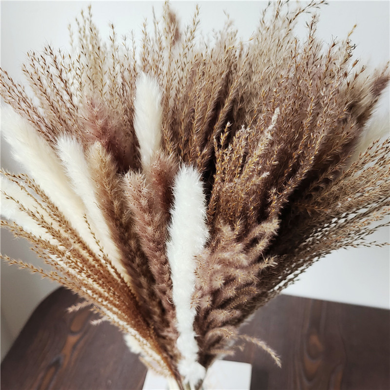 15/30pcs Mixed Dried Flower Bo - Dried Flower Bunch 评论和价格