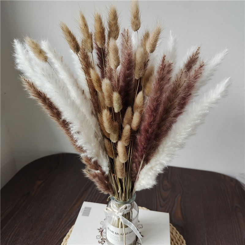 15/30pcs Mixed Dried Flower Bo - Dried Flower Bunch 评论和价格