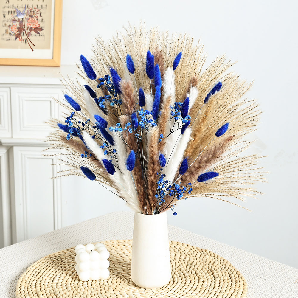 70 Stem Blue Fluffly Rabbit Ta - Dried Flower Bunch 评论和价格