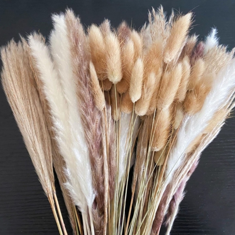 Bulk 100PCS Dried Pampas Grass - Dried Flower Bunch 评论和价格
