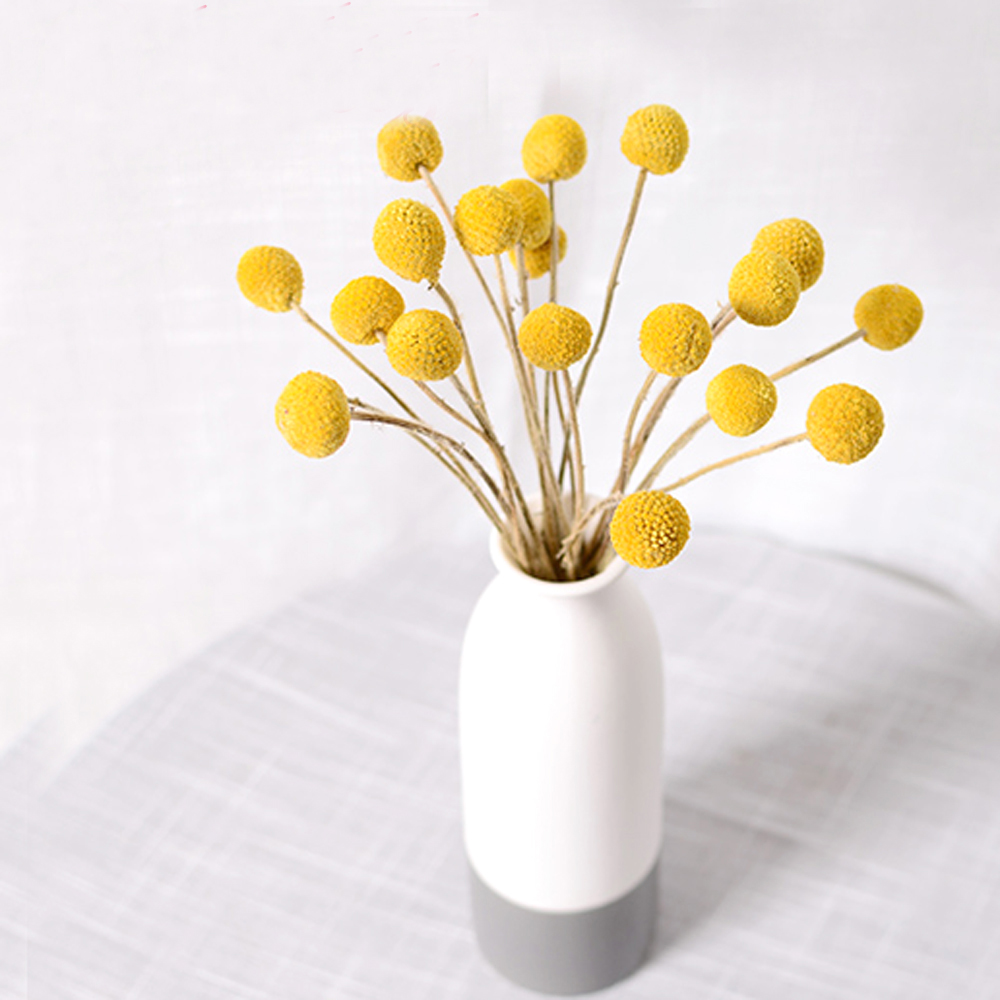20pcs Natural dried Craspedia  - Dried Flower Bunch 评论和价格