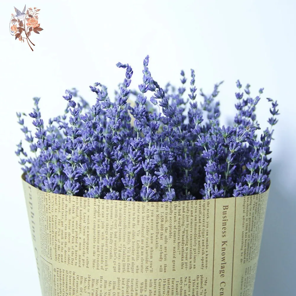 50g Natural Dried Lavender Bou - Dried Flower Bunch 评论和价格