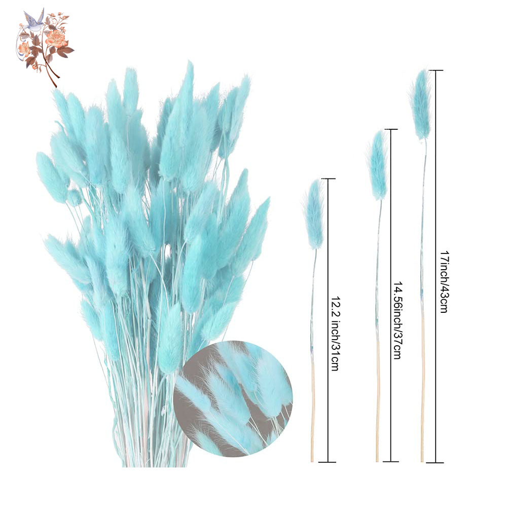 100Pcs Natural Rabbit Tails Gr - Dried Flower Bunch 评论和价格
