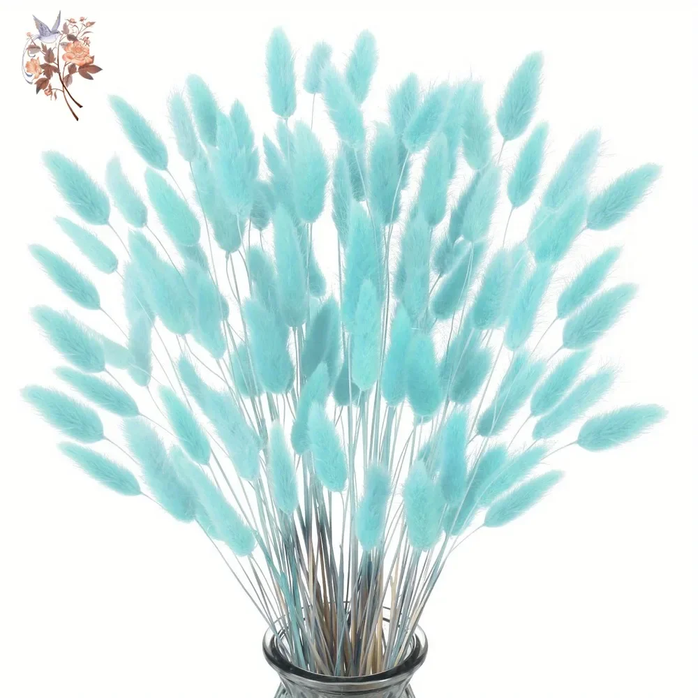 100Pcs Natural Rabbit Tails Gr - Dried Flower Bunch 评论和价格