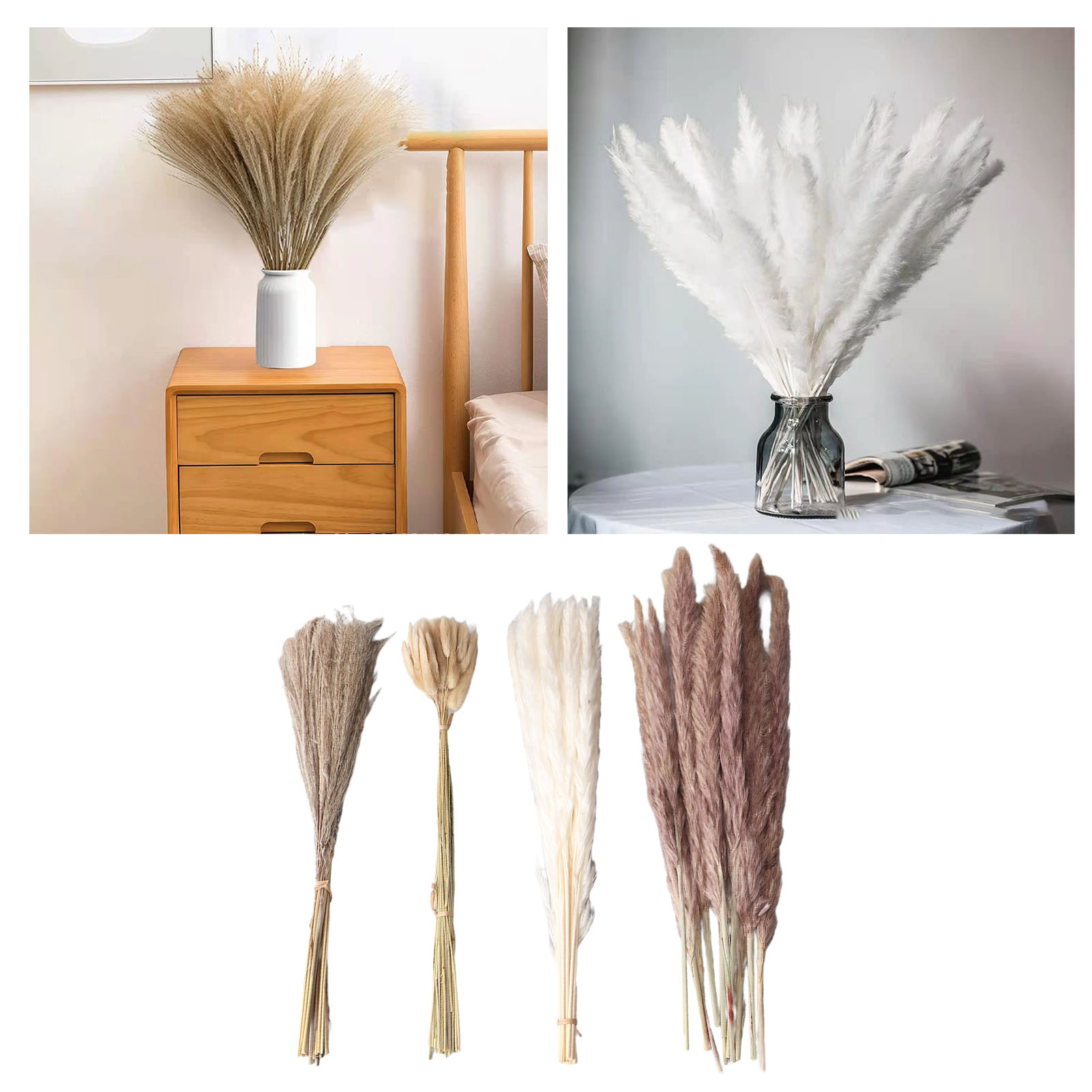 Natural Dried Pampas Grass Flu - Dried Flower Bunch 评论和价格