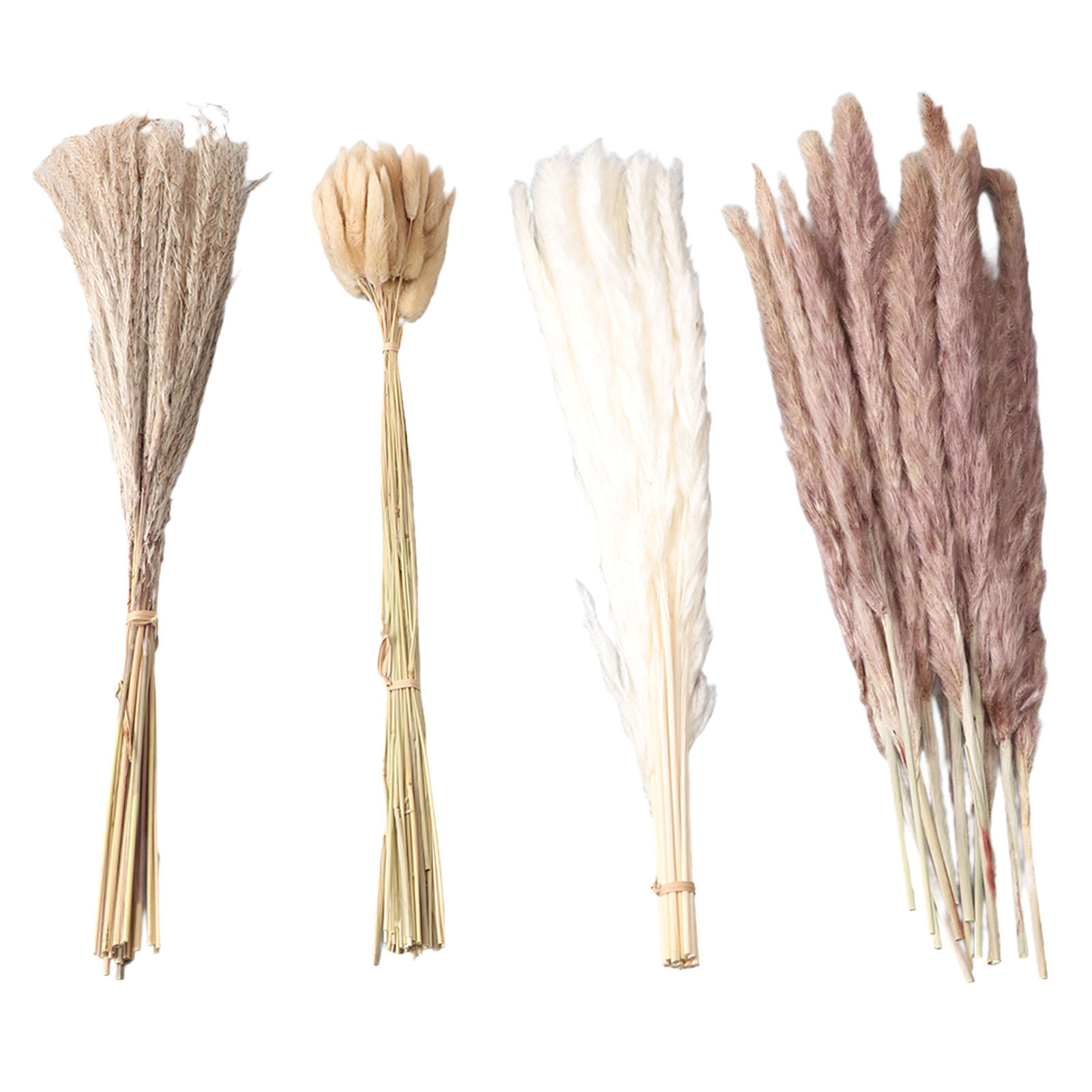 Natural Dried Pampas Grass Flu - Dried Flower Bunch 评论和价格