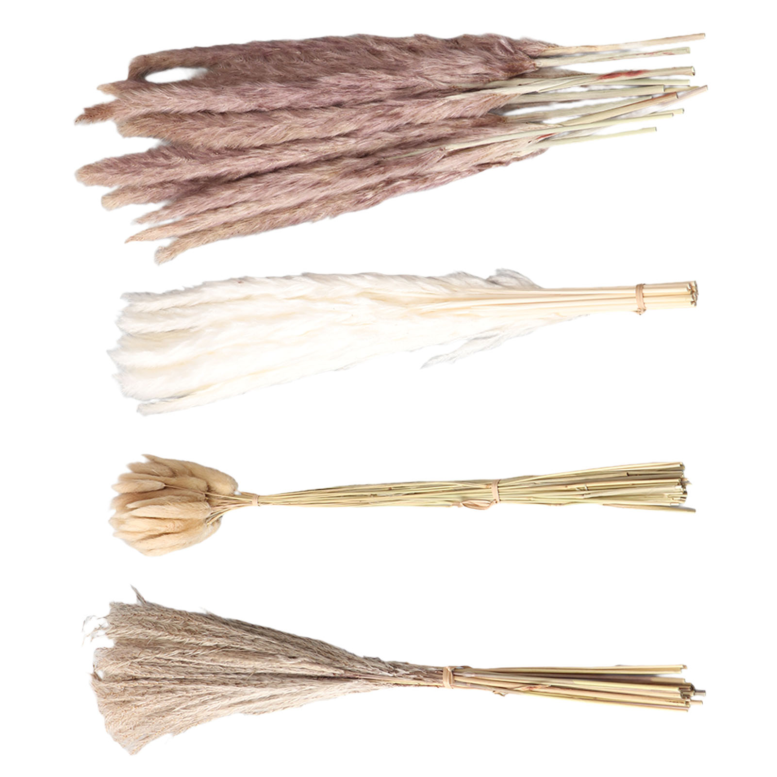 Natural Dried Pampas Grass Flu - Dried Flower Bunch 评论和价格