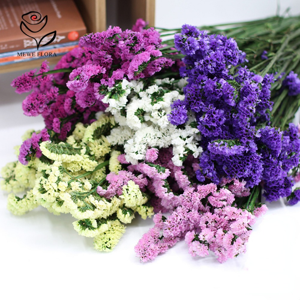 100g Dried Forget Me Not Flowe - Dried Flower Bunch 评论和价格