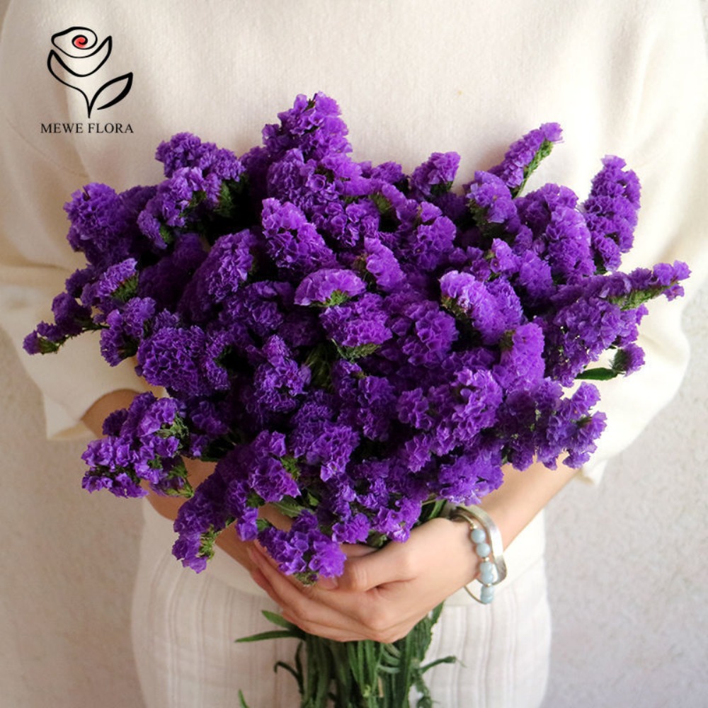 100g Dried Forget Me Not Flowe - Dried Flower Bunch 评论和价格