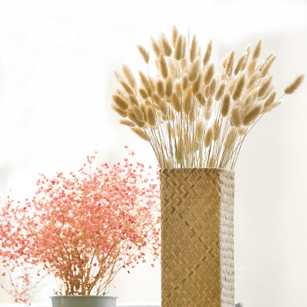 200pcs natural dried Lagurus o - Dried Flower Bunch 评论和价格