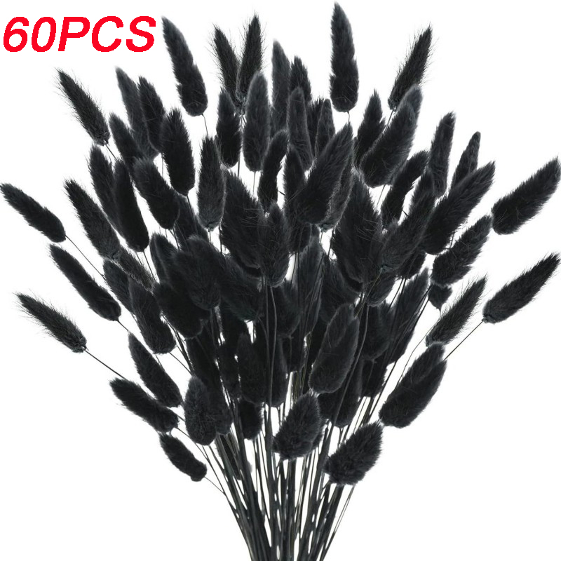 Natural Rabbit Tails Grass Dri - Dried Flower Bunch 评论和价格