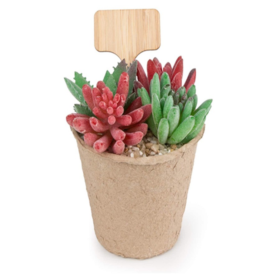 100Pcs Wooden Plant Tag Stakes - Floral Picks Wood 评论和价格